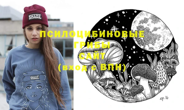 ГАЛЛЮЦИНОГЕННЫЕ ГРИБЫ Алексин