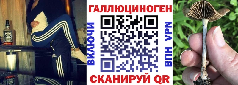 купить наркотики сайты  Приволжск  Псилоцибиновые грибы Magic Shrooms 